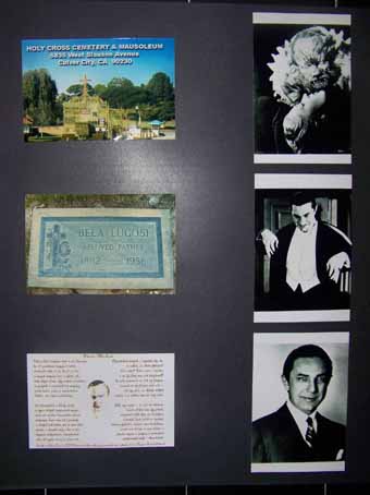 View larger image View larger image