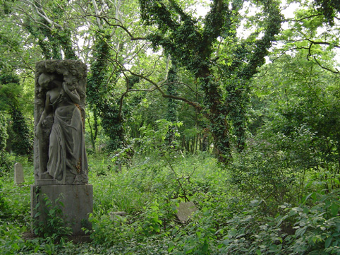 View larger image View larger image