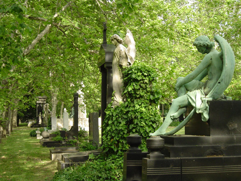 View larger image View larger image