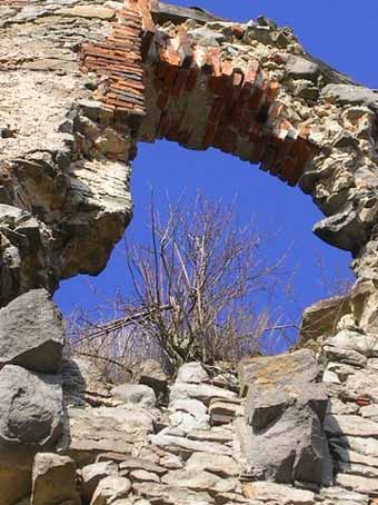 View larger image View larger image