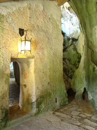 View larger image View larger image