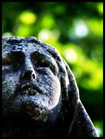 View larger image View larger image