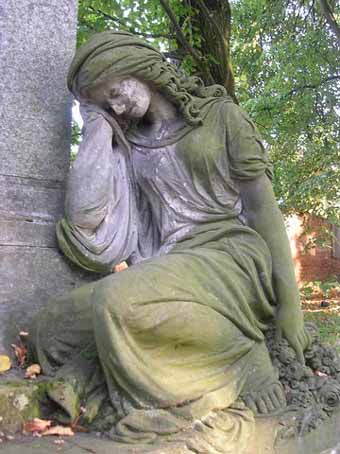 View larger image View larger image