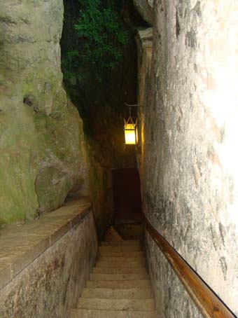 View larger image View larger image