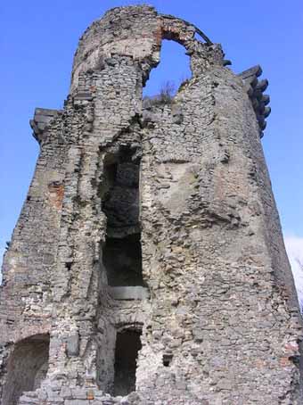 View larger image View larger image