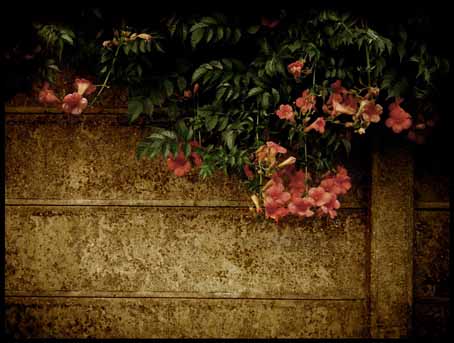 View larger image View larger image