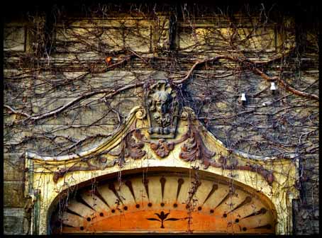 View larger image View larger image