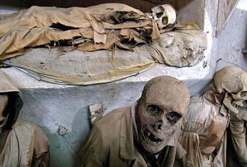 View larger image View larger image