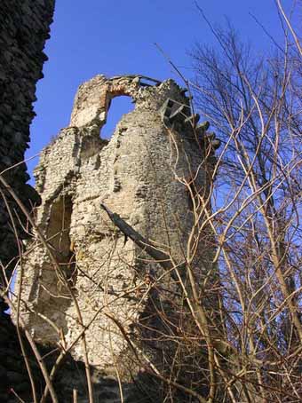 View larger image View larger image