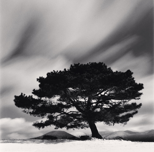 View larger image View larger image