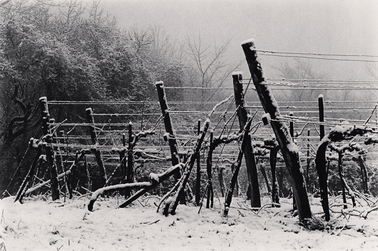 View larger image View larger image