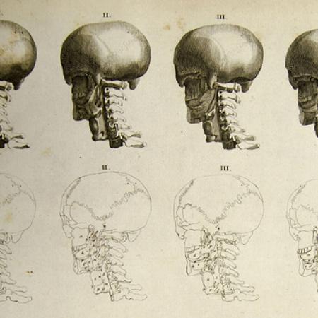 View larger image
