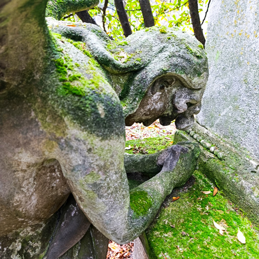 View larger image View larger image