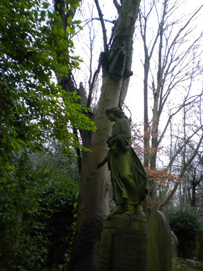 View larger image View larger image