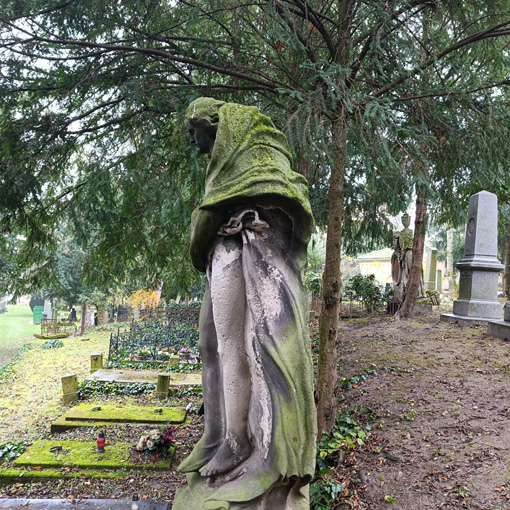 View larger image View larger image