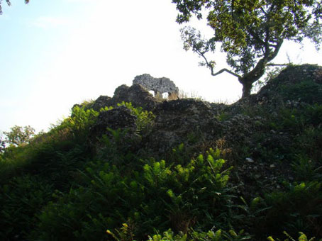 View larger image View larger image