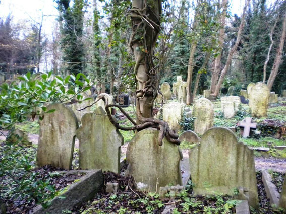 View larger image View larger image