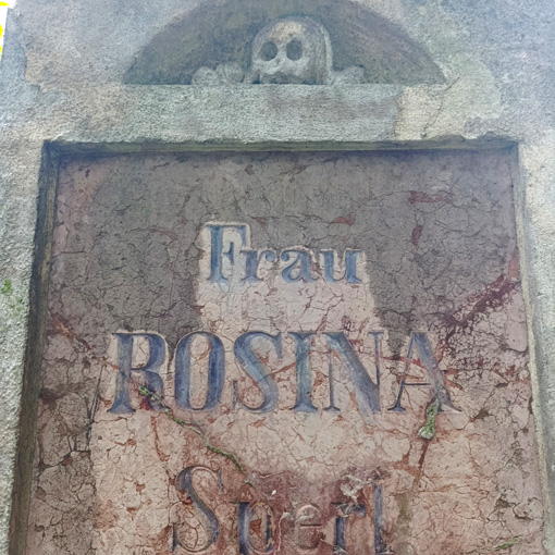 View larger image View larger image