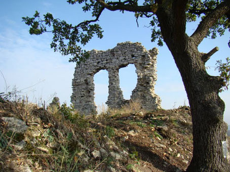 View larger image View larger image