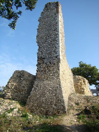 View larger image View larger image