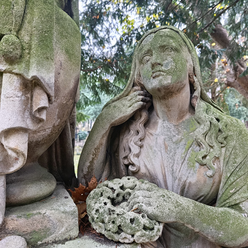 View larger image View larger image