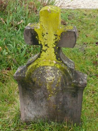 View larger image View larger image