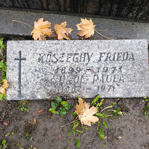 View larger image View larger image