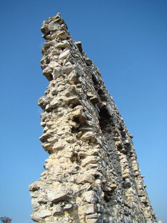 View larger image View larger image