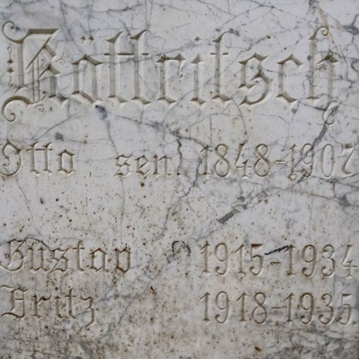 View larger image View larger image