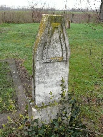 View larger image View larger image