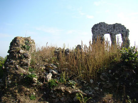 View larger image View larger image