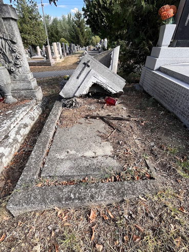 View larger image View larger image