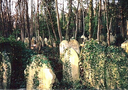 View larger image View larger image