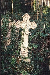 View larger image View larger image