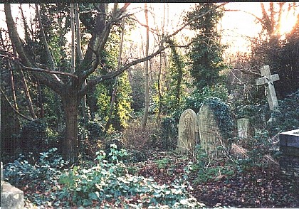 View larger image View larger image