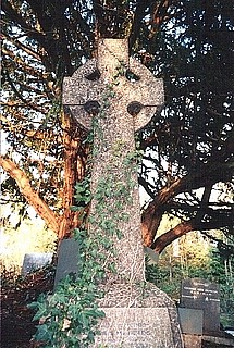 View larger image View larger image