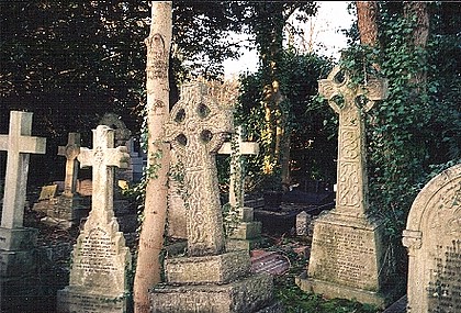 View larger image View larger image