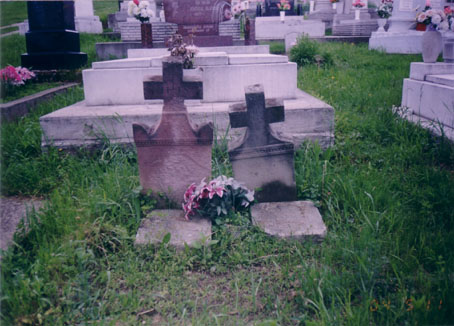 View larger image View larger image