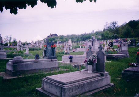 View larger image View larger image