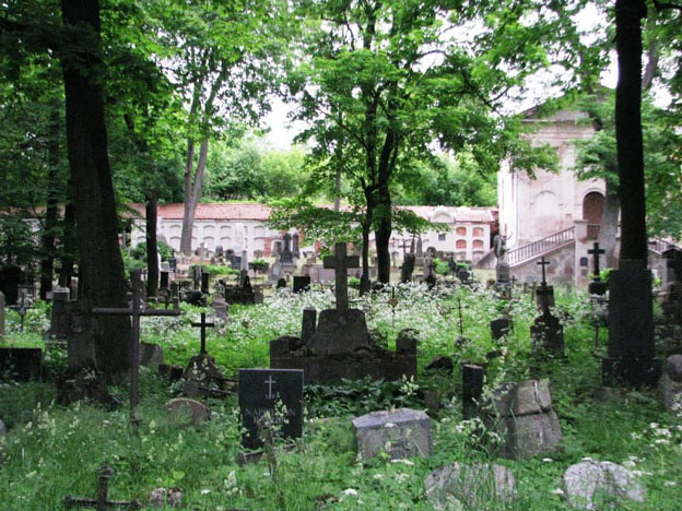 View larger image View larger image