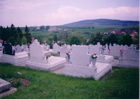 View larger image View larger image