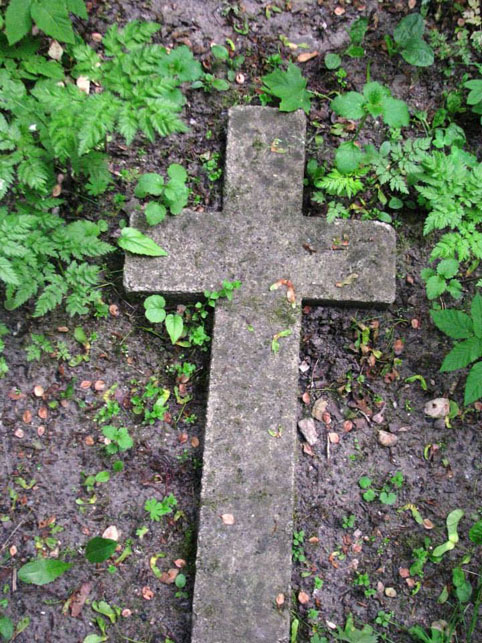 View larger image View larger image