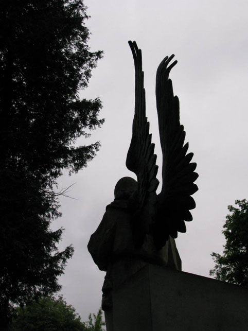 View larger image View larger image