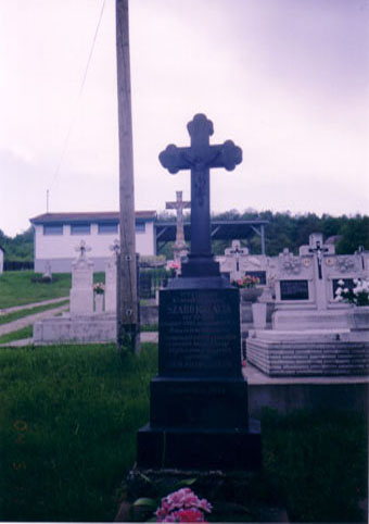 View larger image View larger image