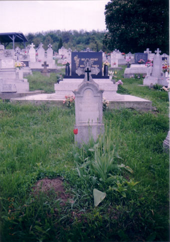 View larger image View larger image