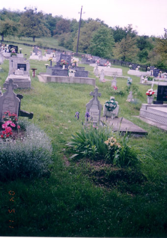 View larger image View larger image