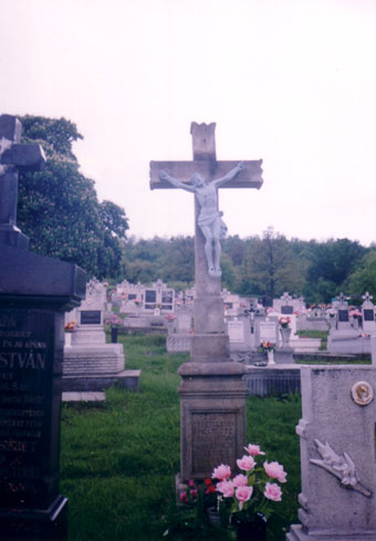 View larger image View larger image