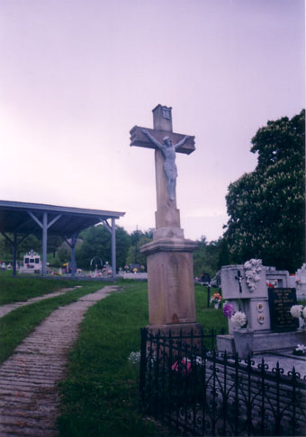 View larger image View larger image